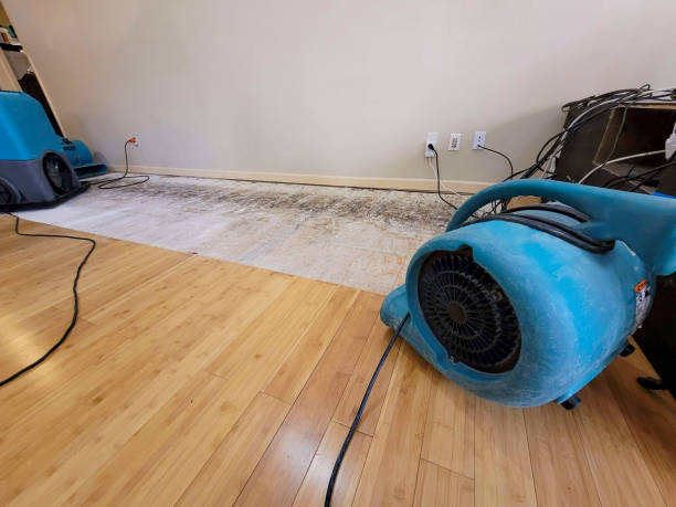 Professional Ceiling Water Damage Repair technician working in Willow Grove, TX
